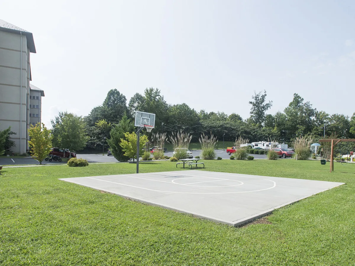 An energetic basketball court nestled amid greenery, complete with park benches for spectators and relaxation. The space is lively and inviting, perfect for active family members.