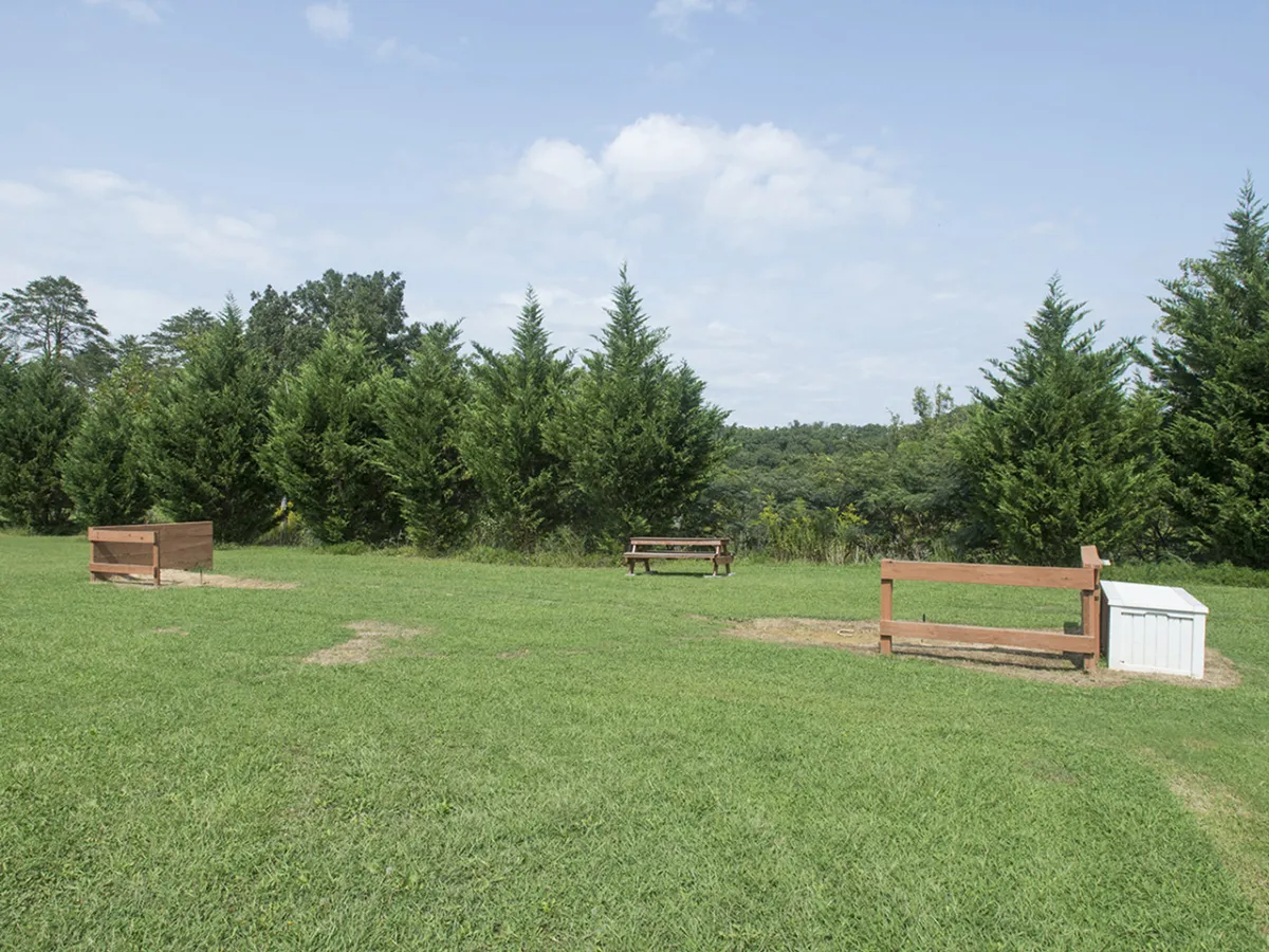 This image shows a tranquil green space with benches, a well-maintained grassy area, and a backdrop of trees. The setting suggests a peaceful location perfect for relaxing, picnicking, or enjoying nature walks, echoing the atmosphere of the resort’s scenic outdoor amenities.